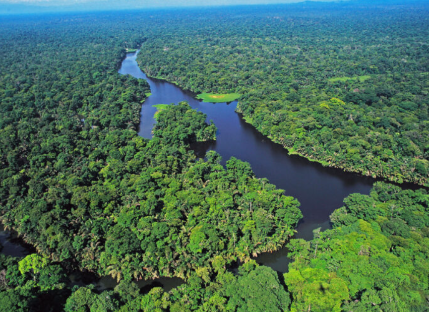 Tortuguero National Park, Limón Province, Costa Rica